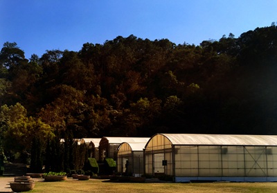 The Complete Guide to Sheds in Western Australia